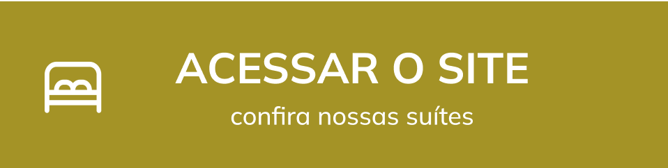 botão acessar o site